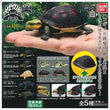 Bandai, Kame (Box Turtle) Series 04